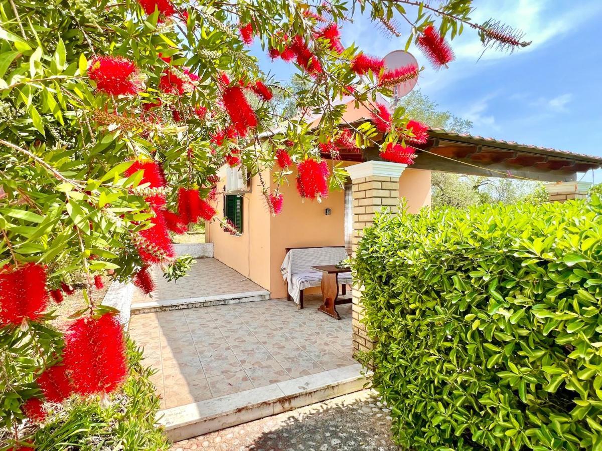 Renas Near By Dadovillas Resort Roda (Corfu)